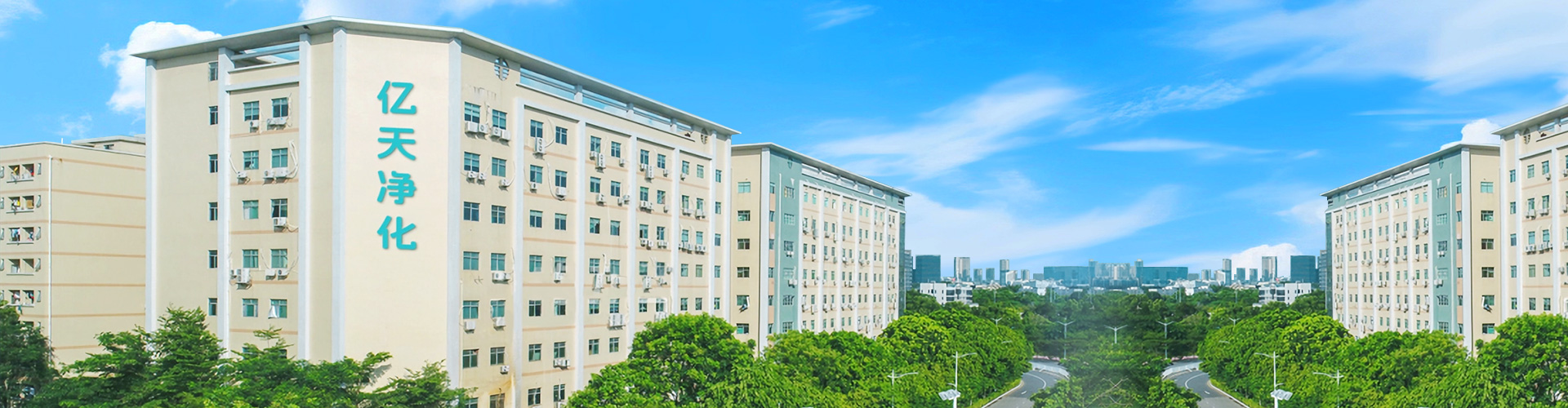 Company Profile